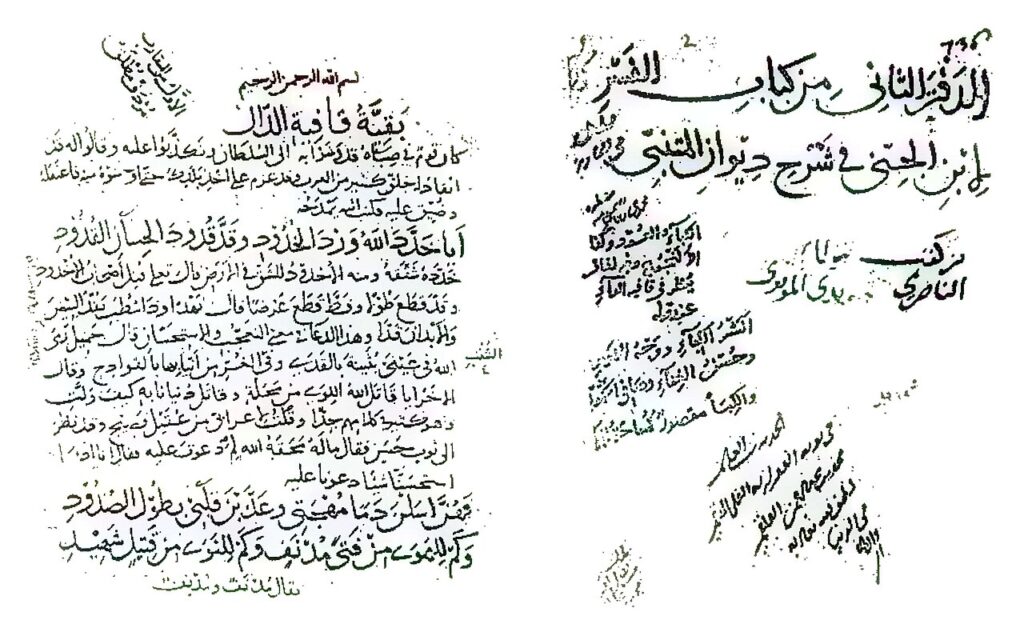 «عام الشعر العربي».. خطوة تعزّز الهوية الثقافية