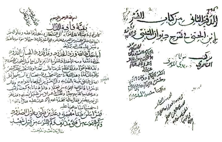 «عام الشعر العربي».. خطوة تعزّز الهوية الثقافية